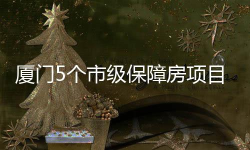保障万套超1提供房项住房目在厦门5个建中 可市级